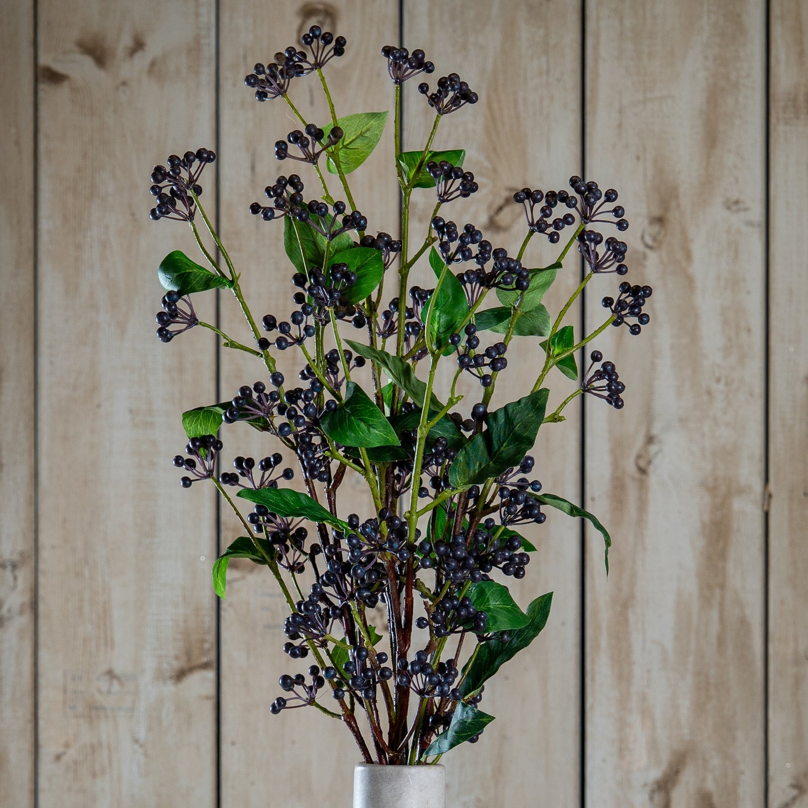 Viburnum Berry