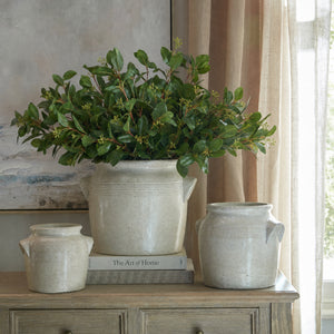Summer Seeded Eucalyptus