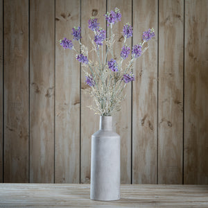 Purple Meadow Flower