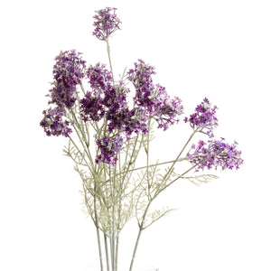 Purple Meadow Flower