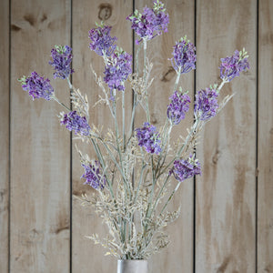 Purple Meadow Flower
