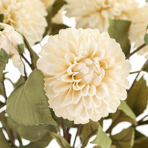 White Dahlia Stem