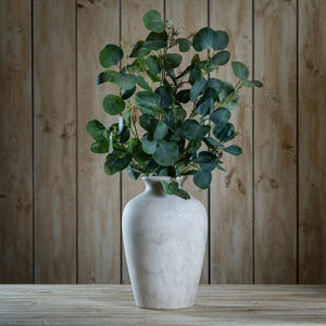 Eucalyptus Stem Spray