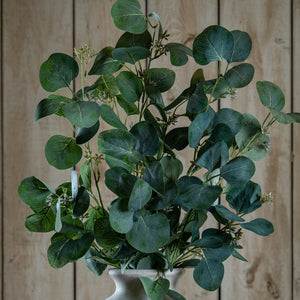 Eucalyptus Stem Spray