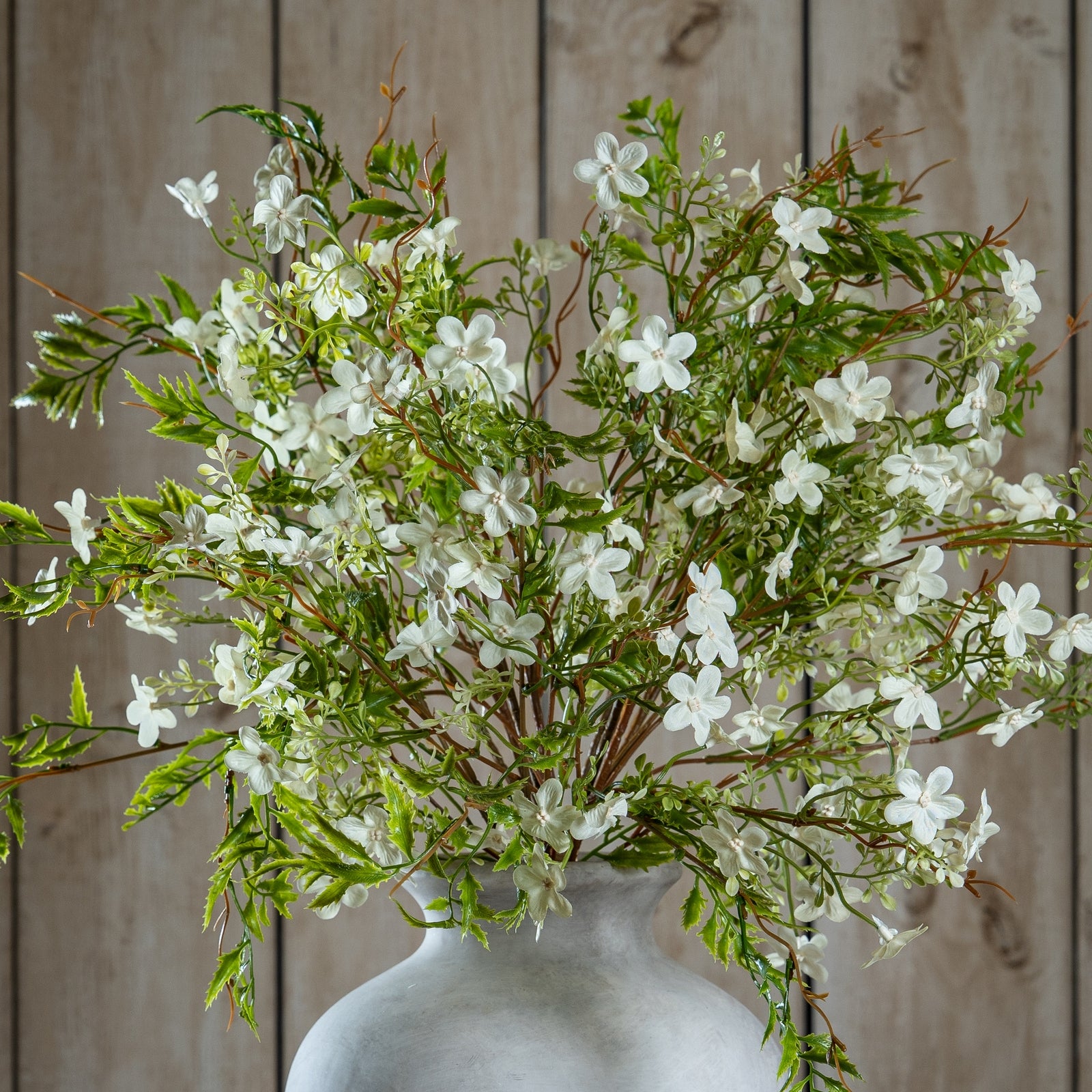 Italian White Bellflower