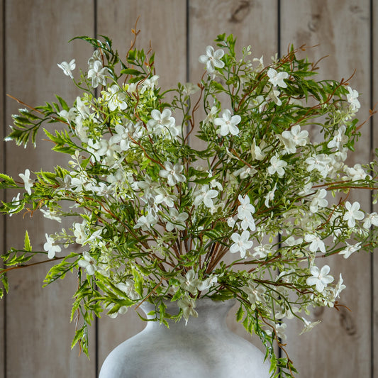 Italian White Bellflower