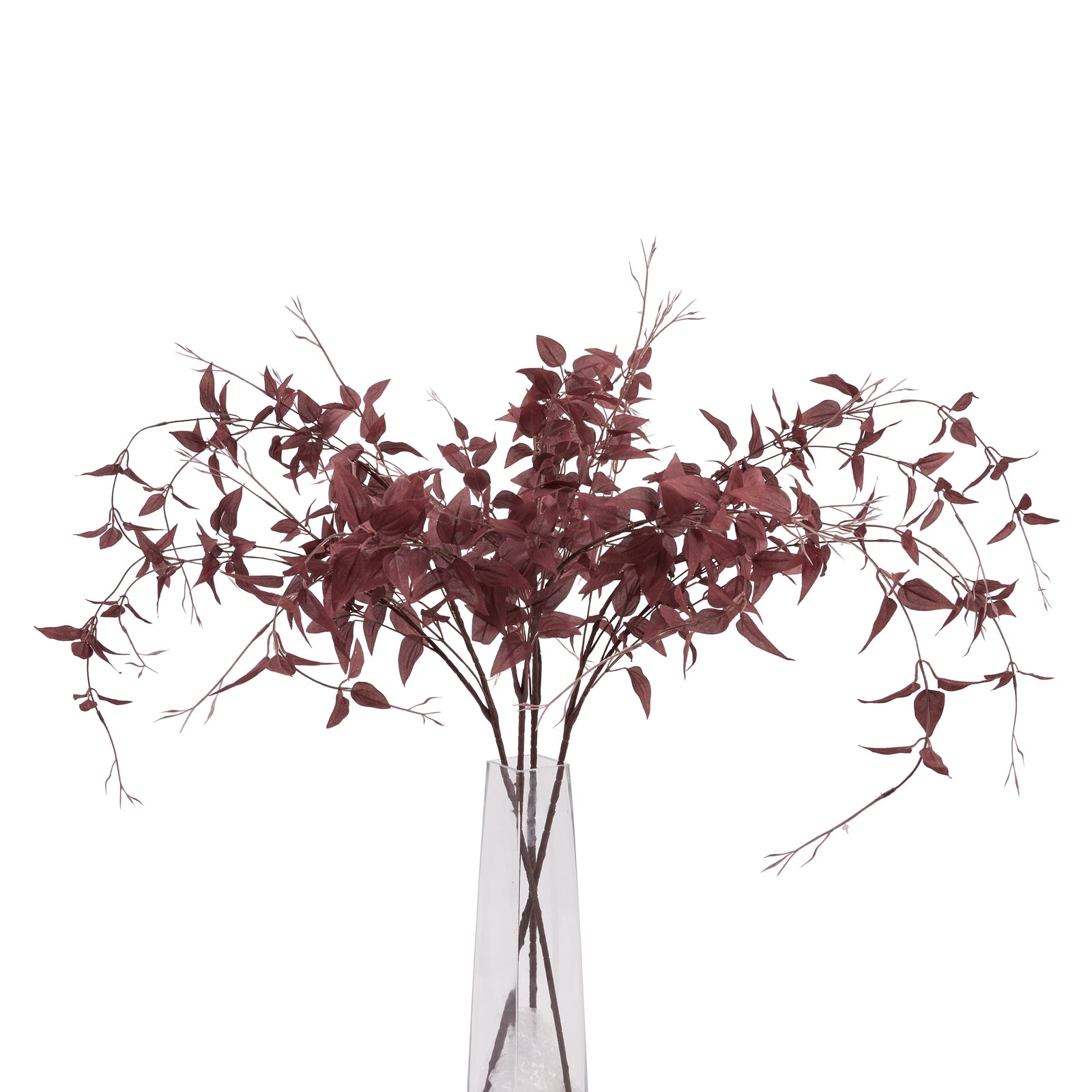 Ornamental Burgundy Leaf