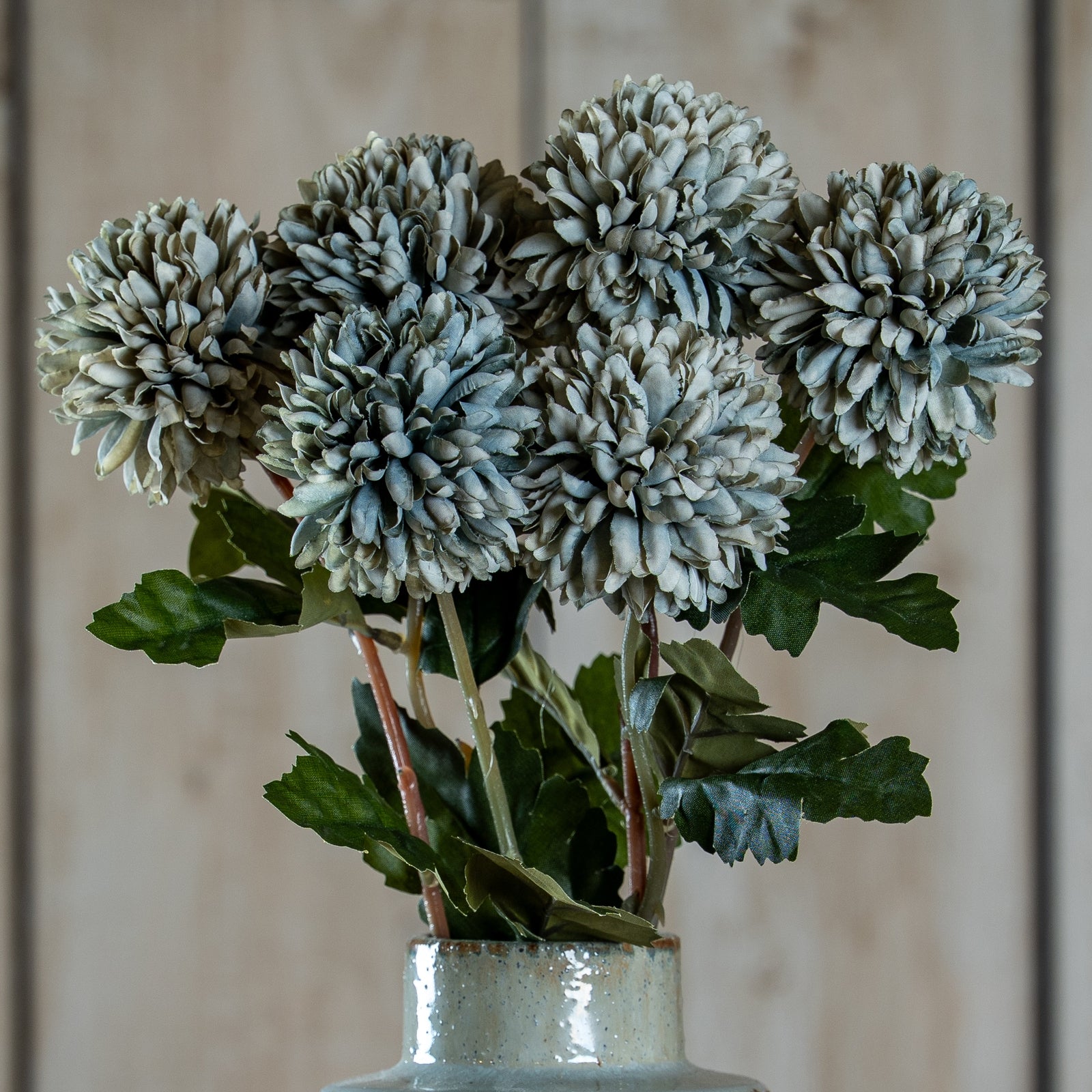 Pale Green Blue Short Chrysanthemum