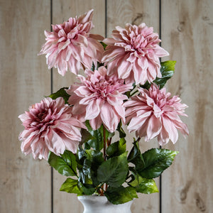 The Natural Garden Collection Pink Dahlia