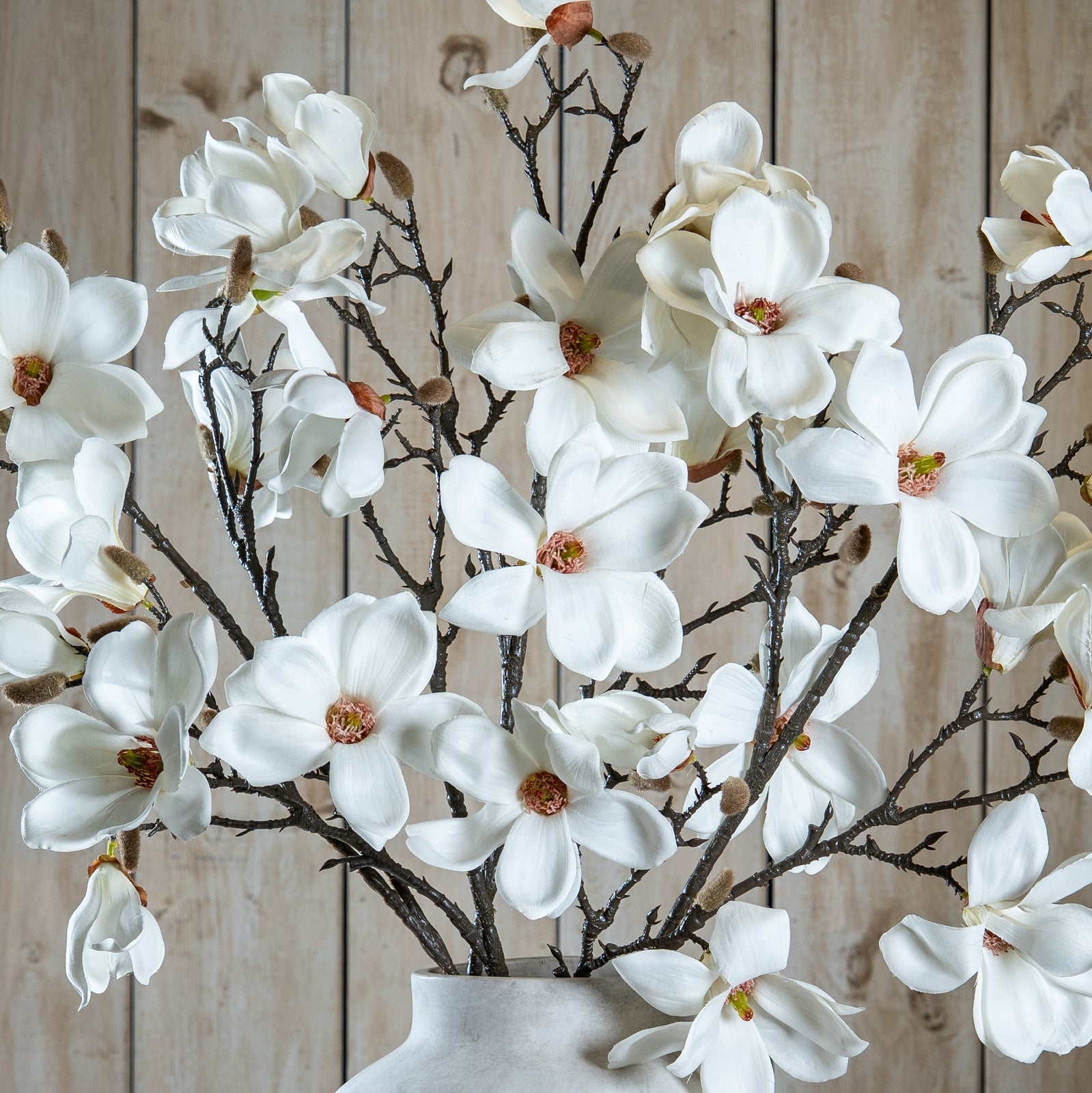 The Natural Garden Collection White Magnolia Stem