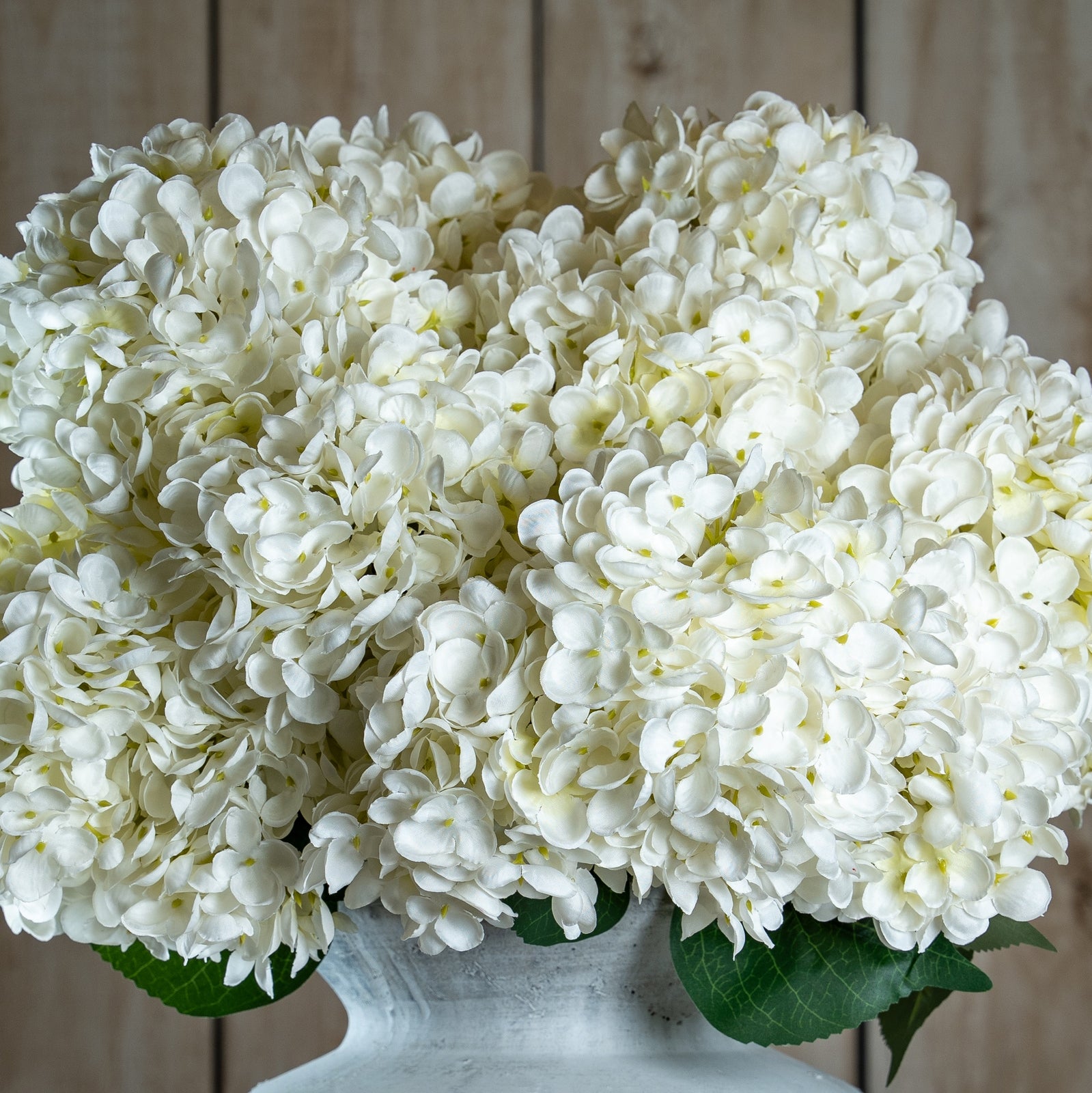The Natural Garden Collection White Allium