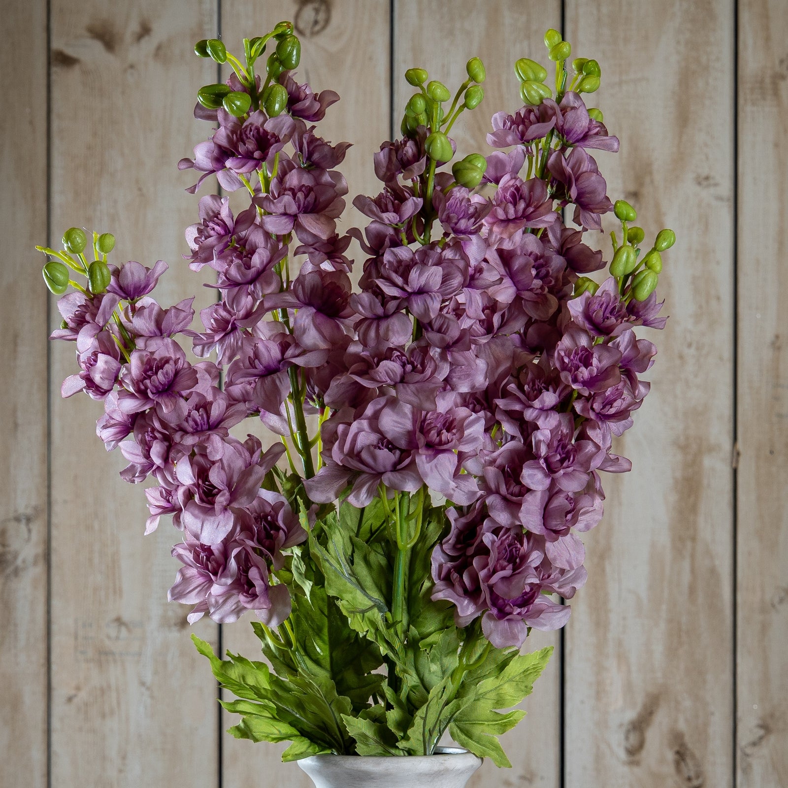 The Natural Garden Collection Purple Elatum Delphinium
