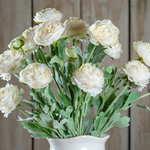The Natural Garden Collection White Ranunculus