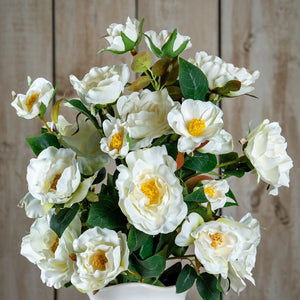 The Natural Garden Collection White Tea Rose
