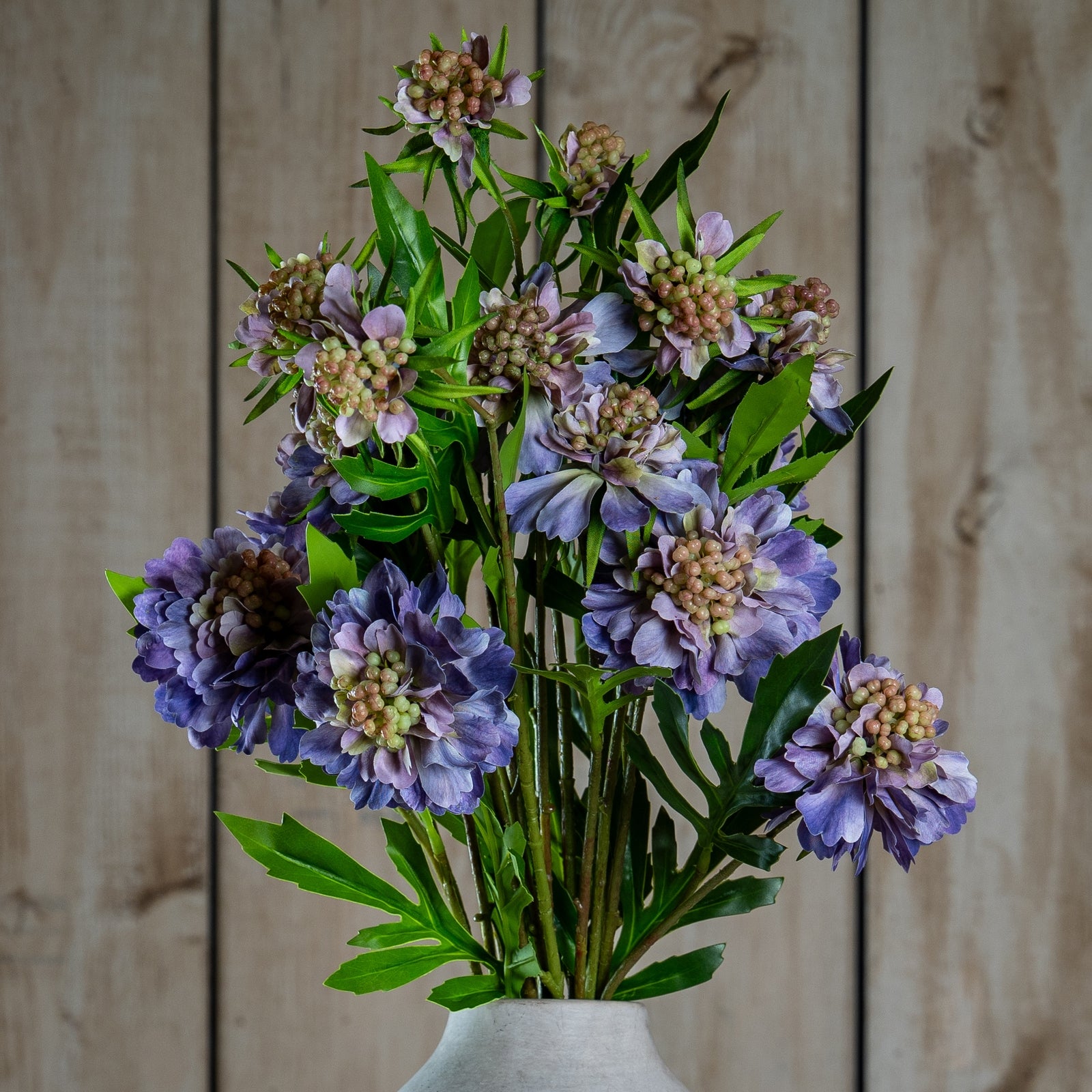 The Natural Garden Collection Purple Scabious Stem
