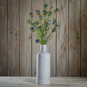 The Natural Garden Collection Purple Nigella Love In A Mist