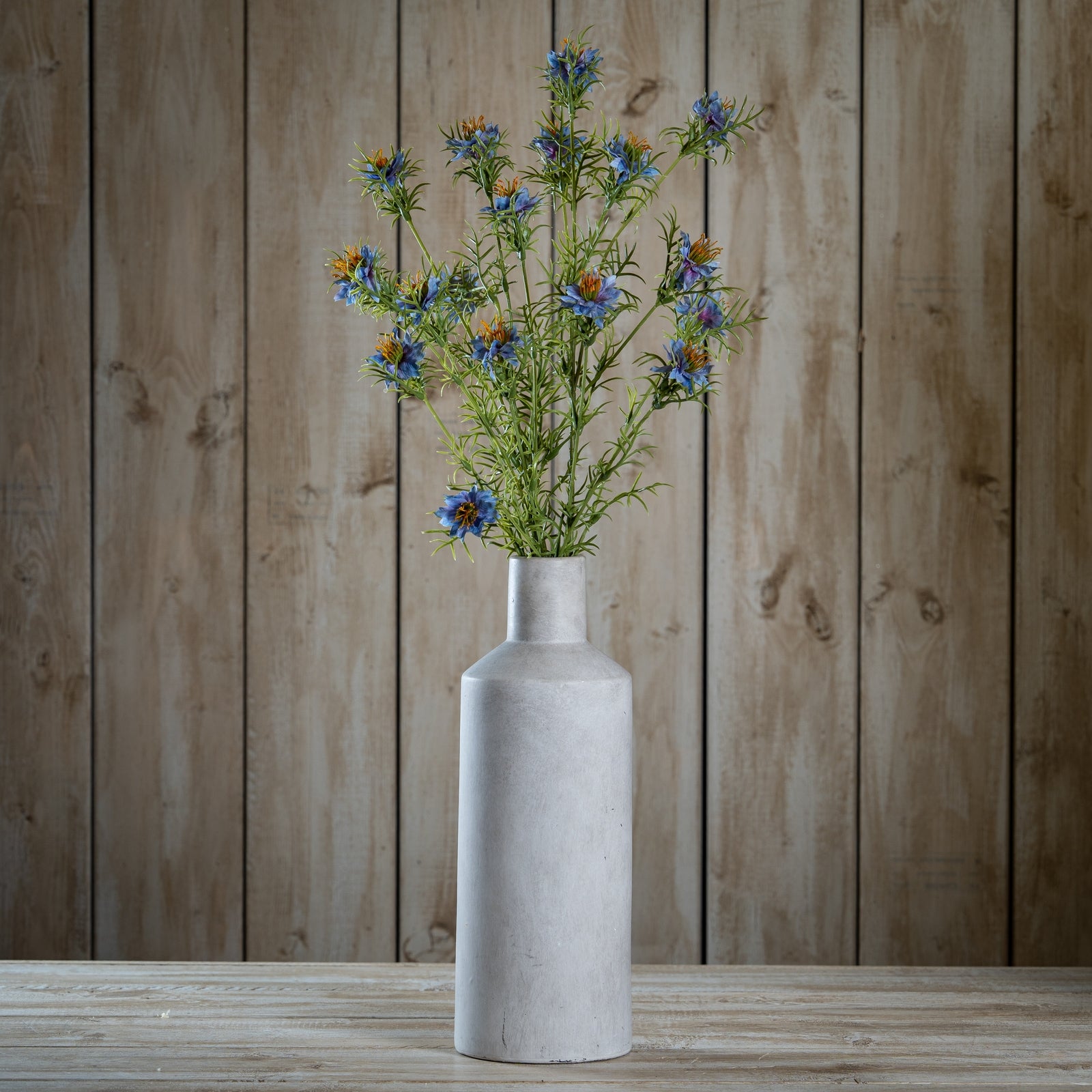 The Natural Garden Collection Purple Nigella Love In A Mist