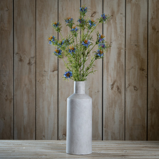 The Natural Garden Collection Purple Nigella Love In A Mist