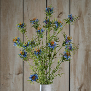The Natural Garden Collection Purple Nigella Love In A Mist