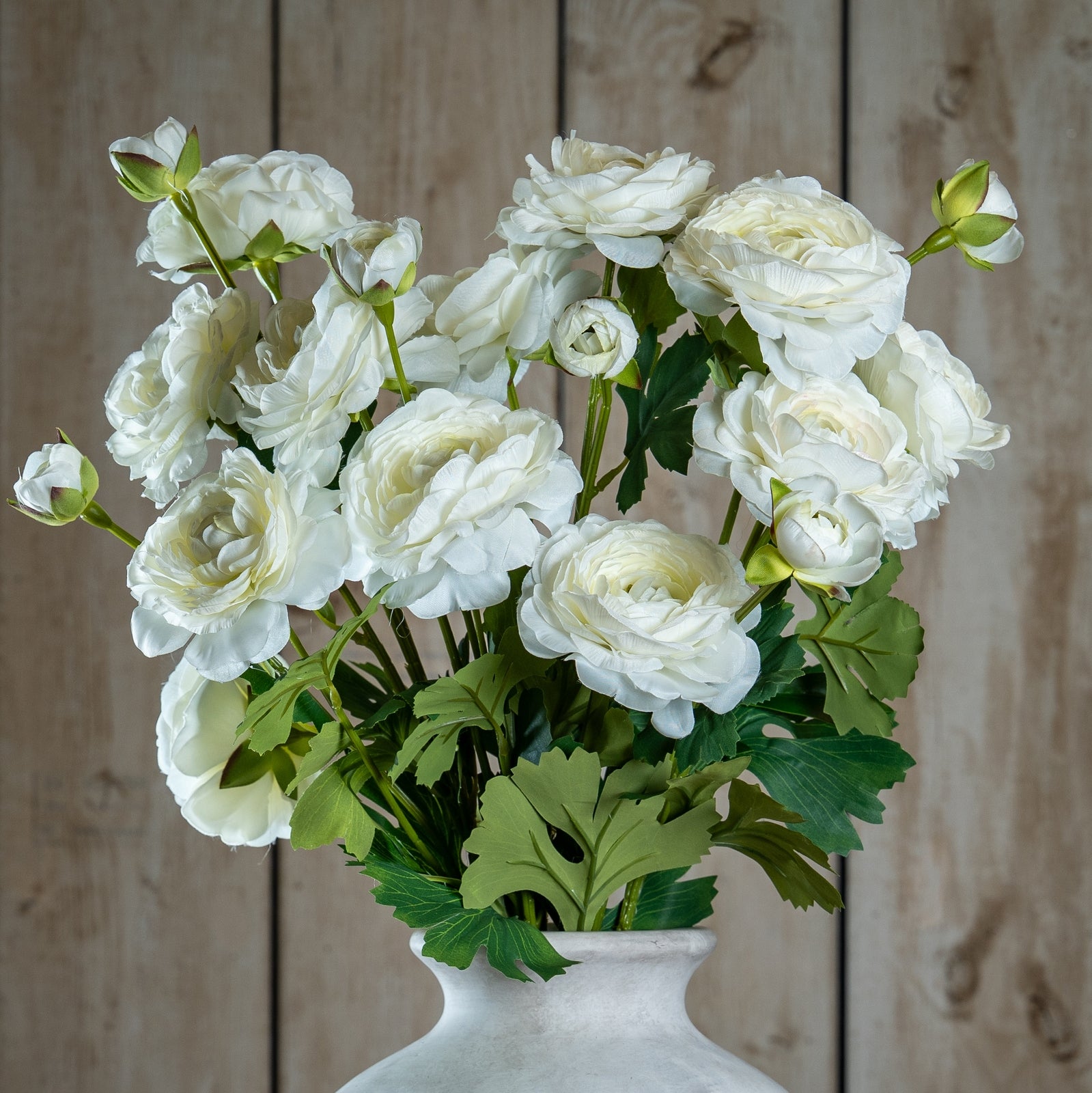 The Natural Garden Collection Apricot Ranunculus