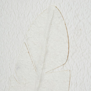 Large Quill White Feather Art Mounted In Beaded Frame