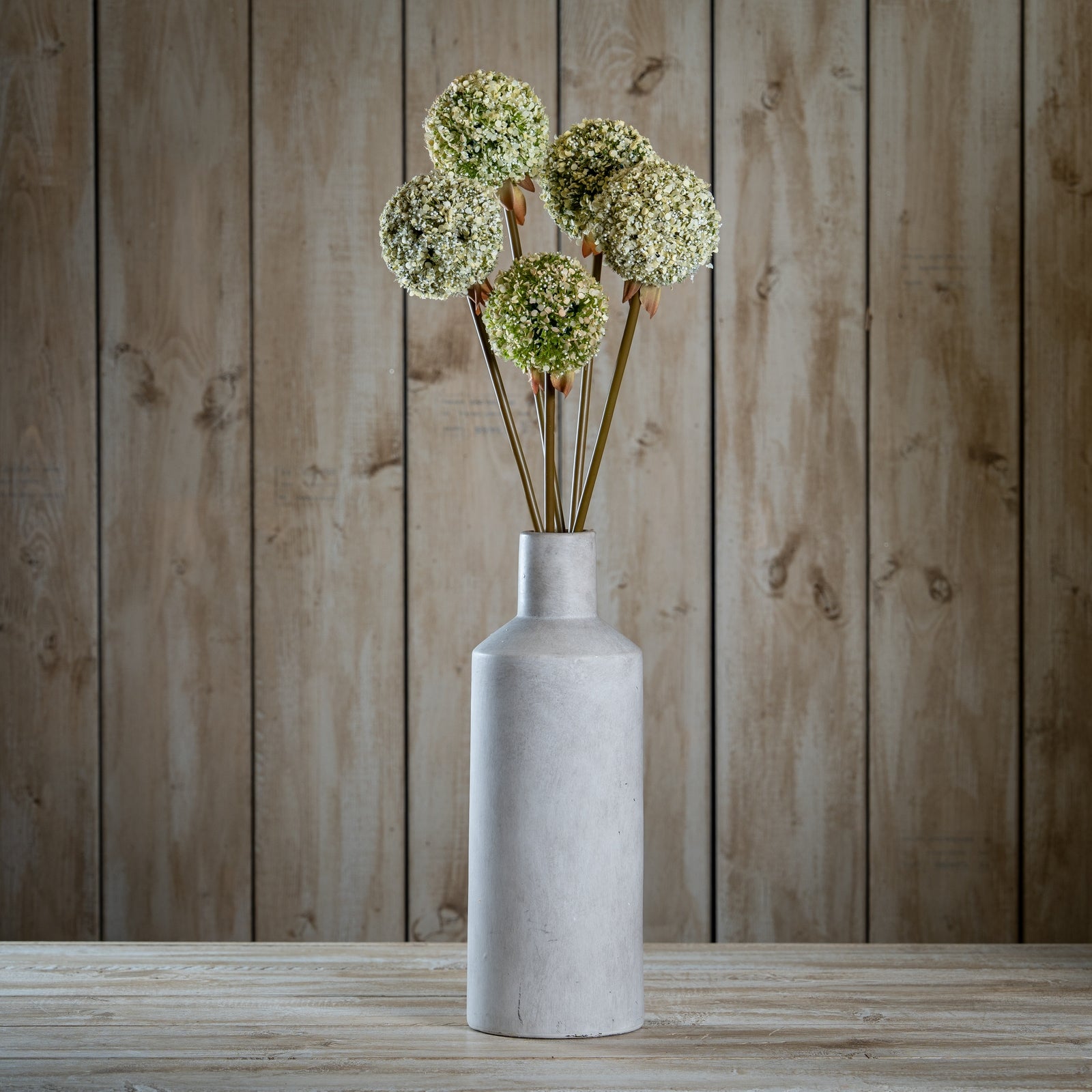 Green Allium Stem