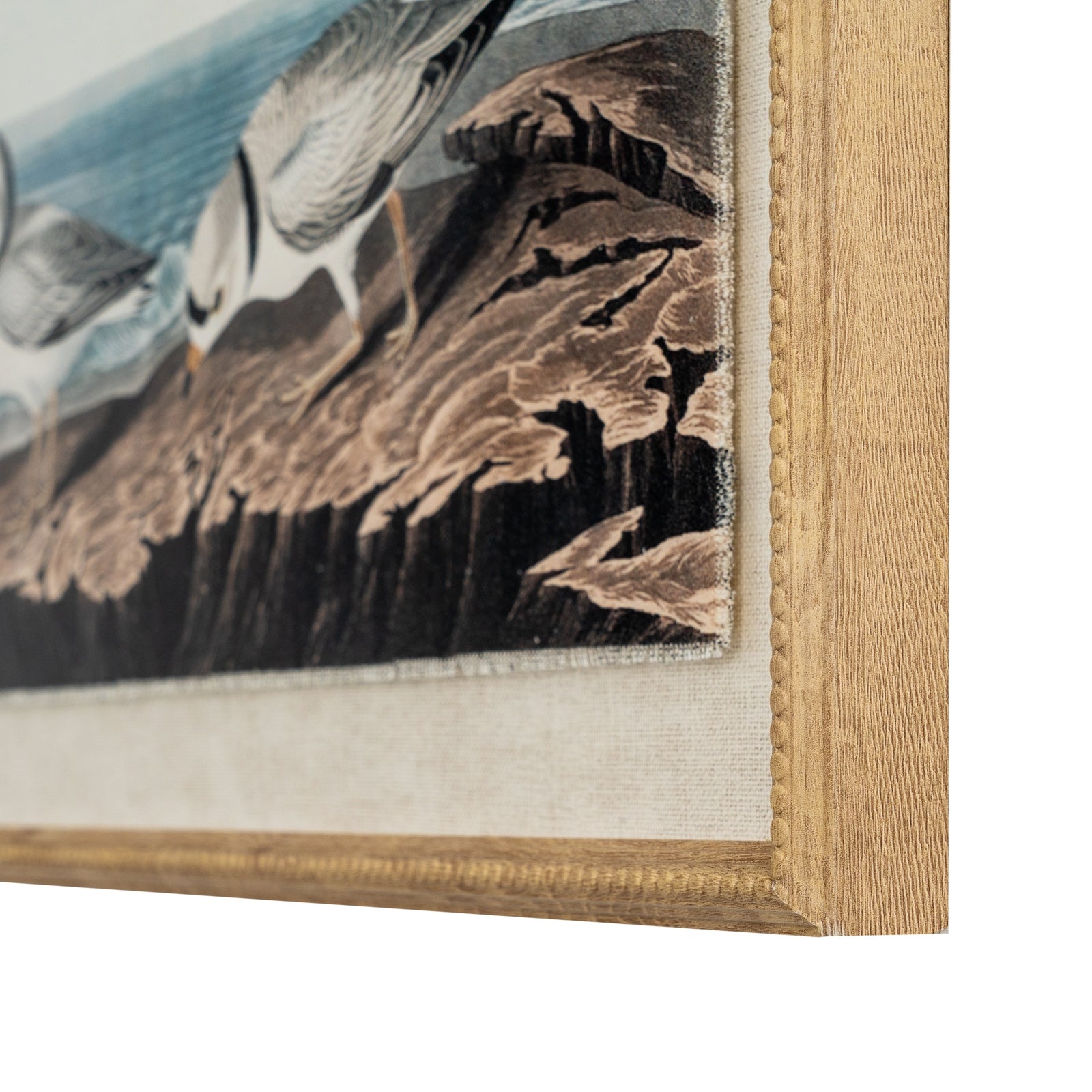 Flora & Fauna Collection Plovers On Linen In Beaded Frame