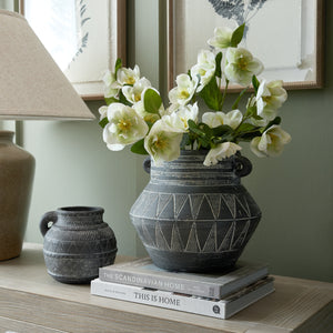 White Hellebore Stem