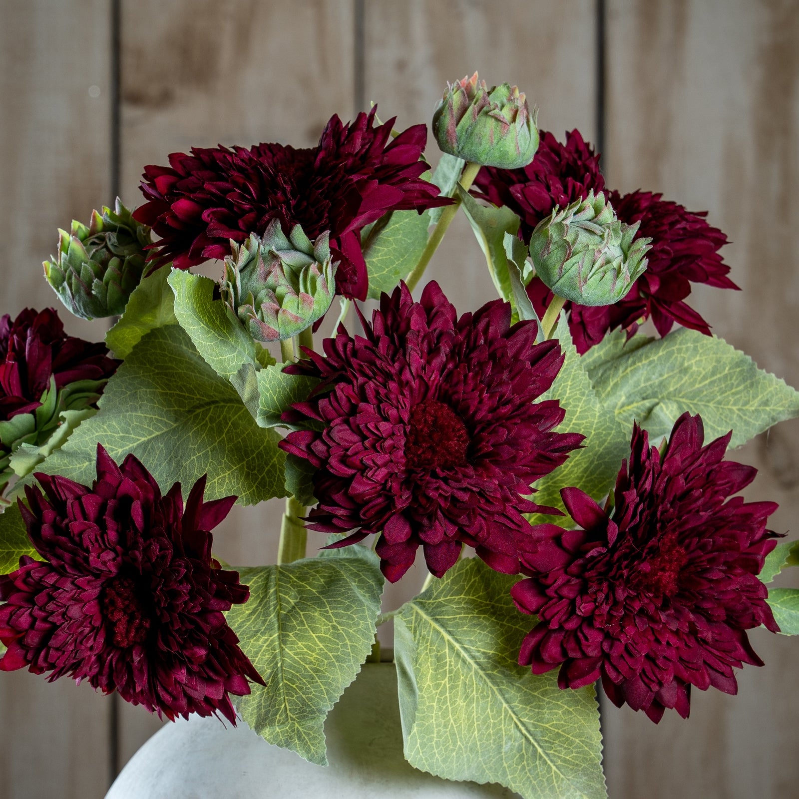 Dahlia Burgundy Raven Stem