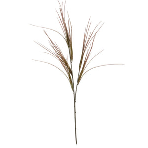Brome Grass Spray