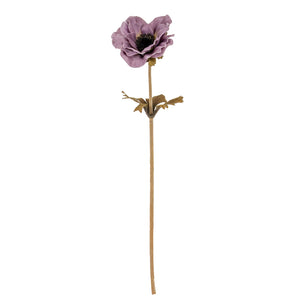 Purple Anemone Stem
