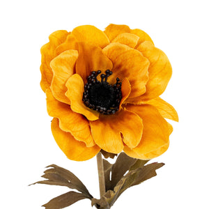 Yellow Anemone Stem