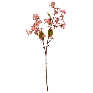 Pink Vernicia Fordii Spray
