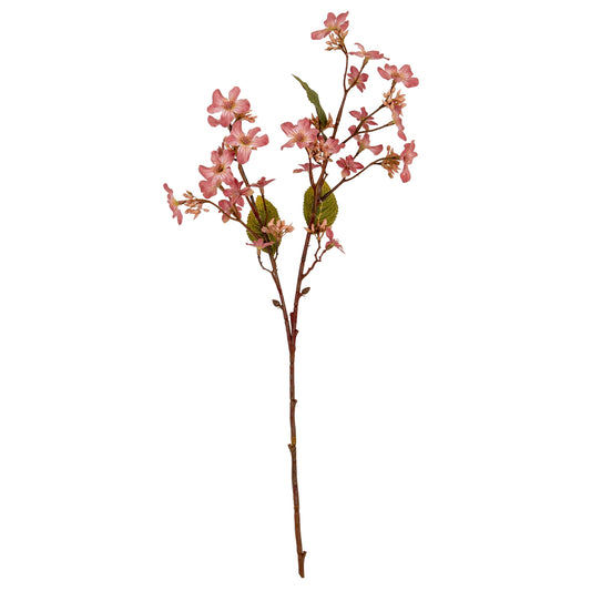 Pink Vernicia Fordii Spray