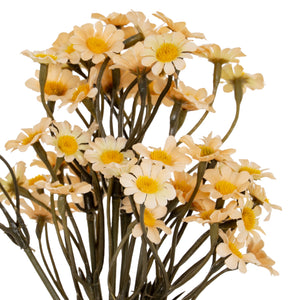 Cream Daisy Bunch