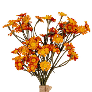 Orange Daisy Bunch