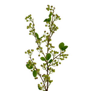 Green Mossberry Large Branch