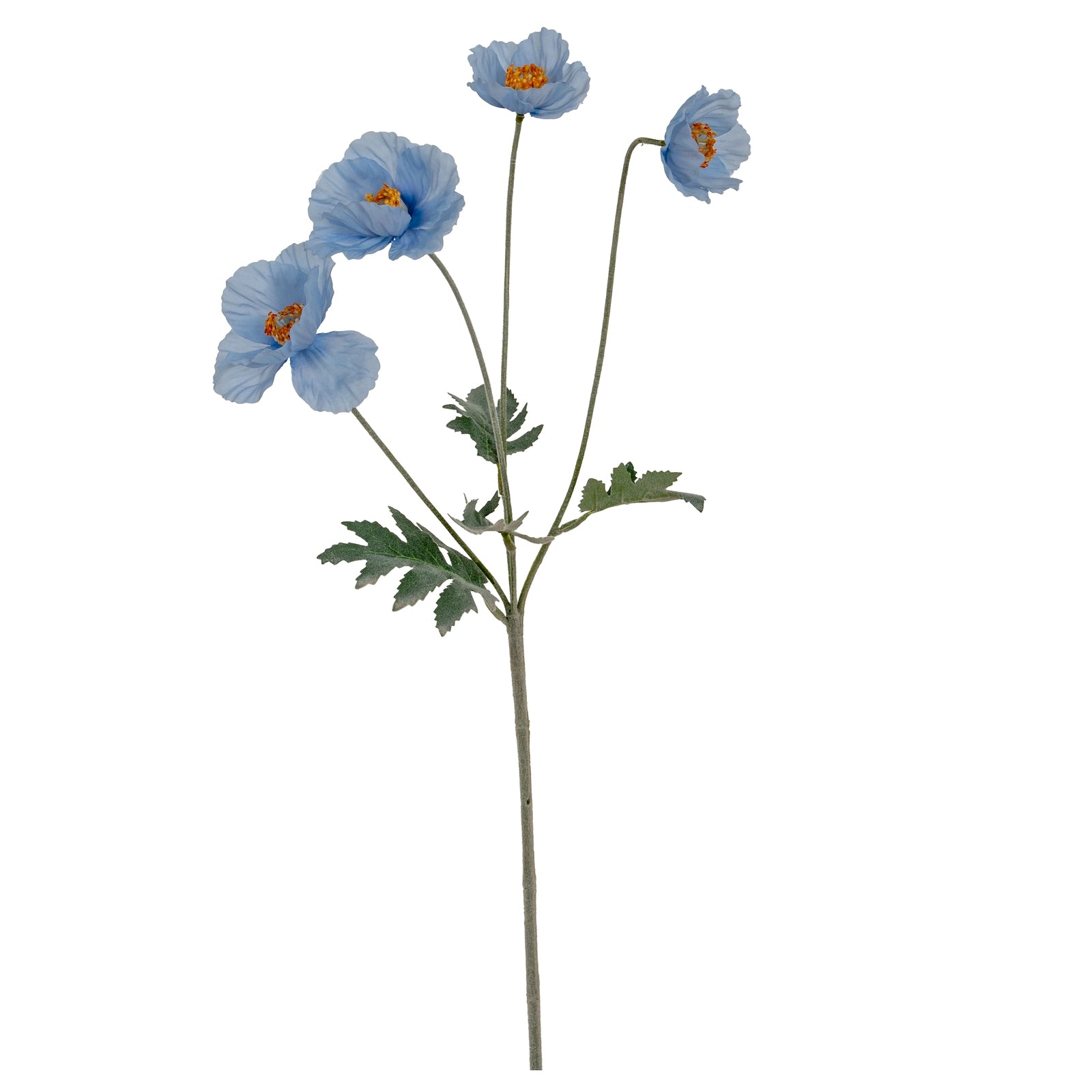 Blue Papaver Poppy Spray