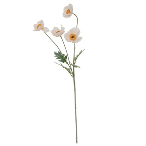 Cream Papaver Poppy Spray
