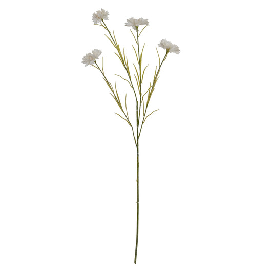 White Cornflower Stem