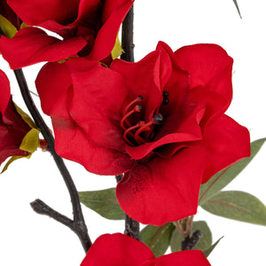 Crimson Bloom Large Spray