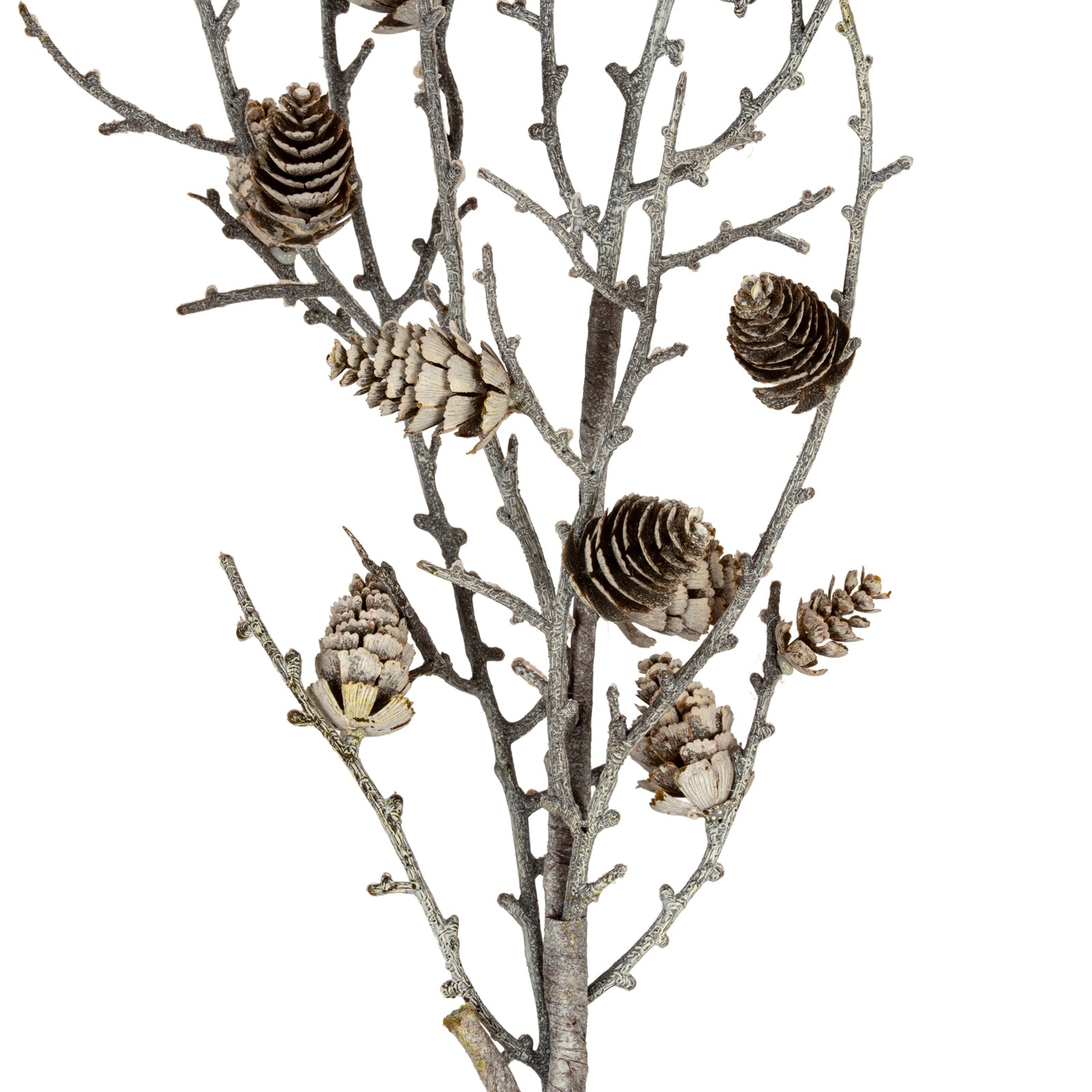 Snowy Winter Woodland Branch With Pinecones