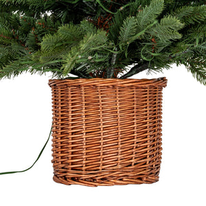Norway Fir Pre-Lit LLED 300L  Fir Tree In Rattan Pot